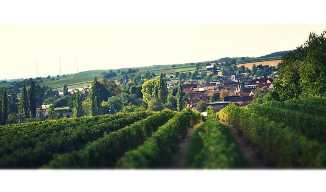 Ferienhaus & Weingut Am Steingebiss Billigheim-Ingenheim Eksteriør billede